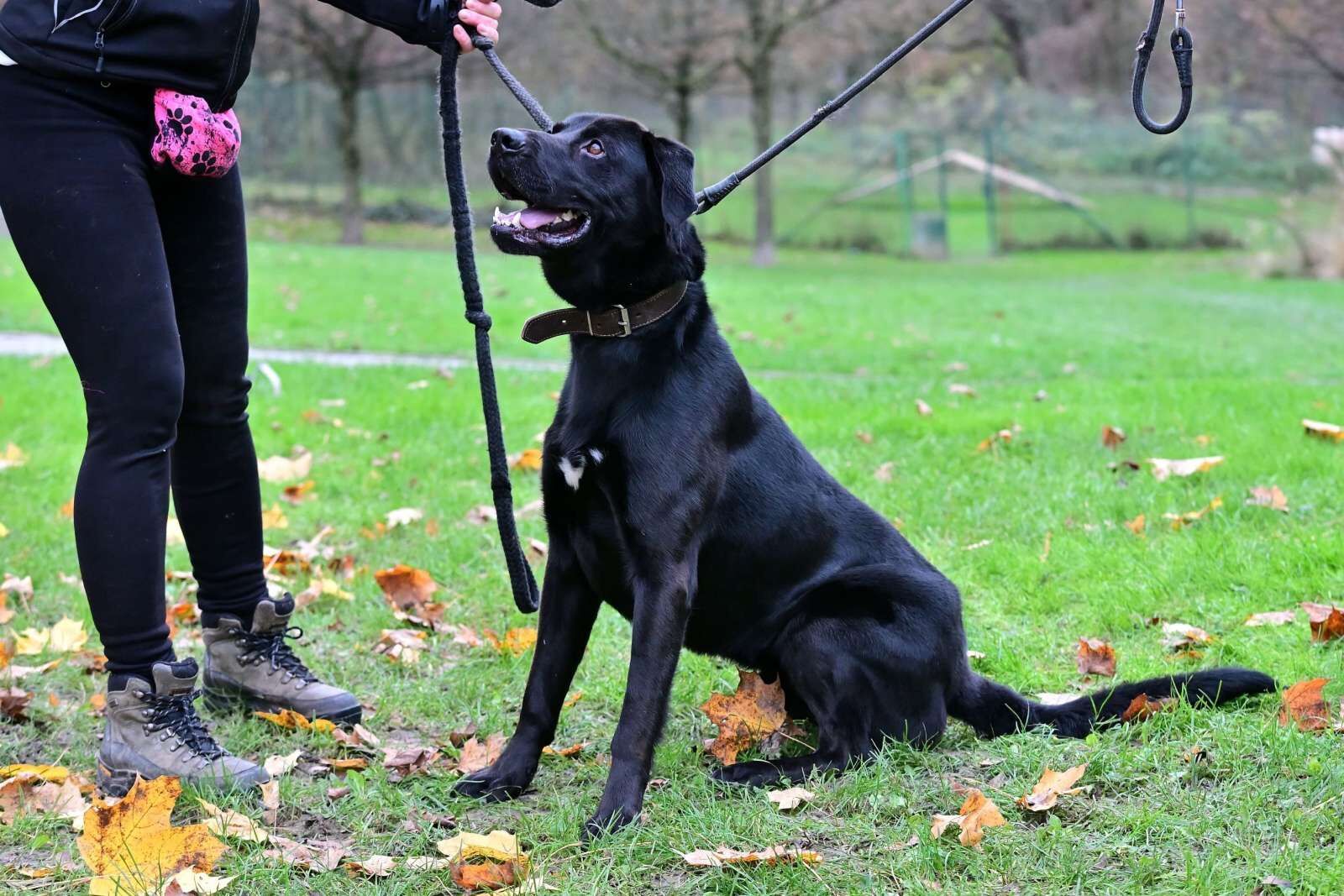 utulek 11 2025male--061